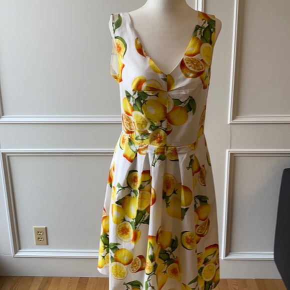 Banana Republic Dresses & Skirts - BR 1950’s style lemon dress